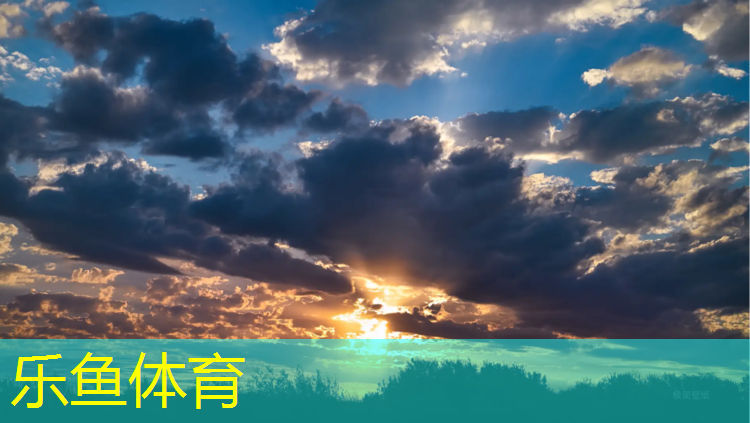 <strong>乐鱼体育,网球网的材料</strong>