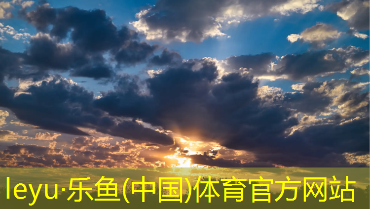阳江学校塑胶跑道企业